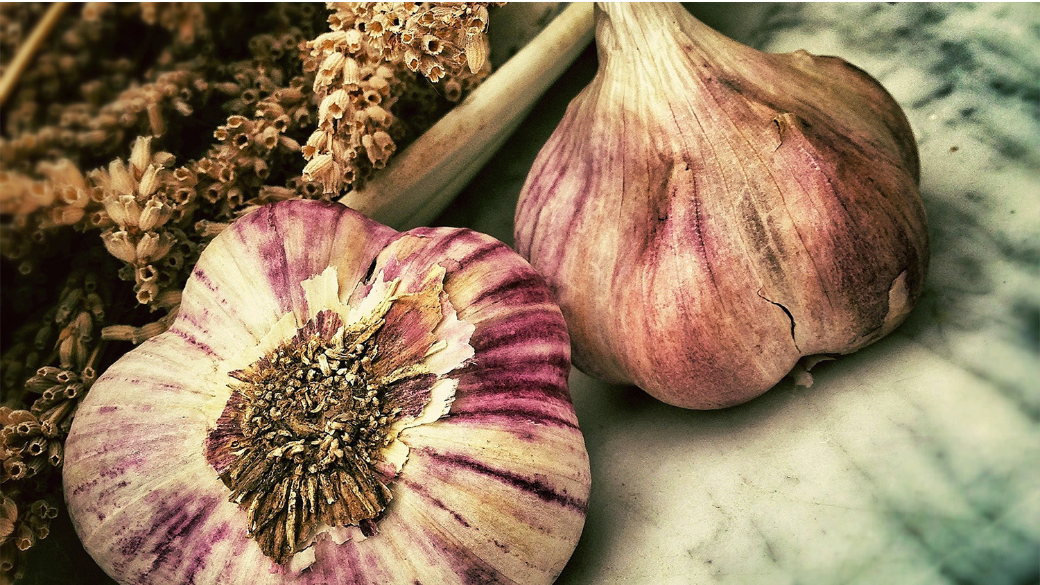 Ellen’s Catering by Arno Van de Vyver