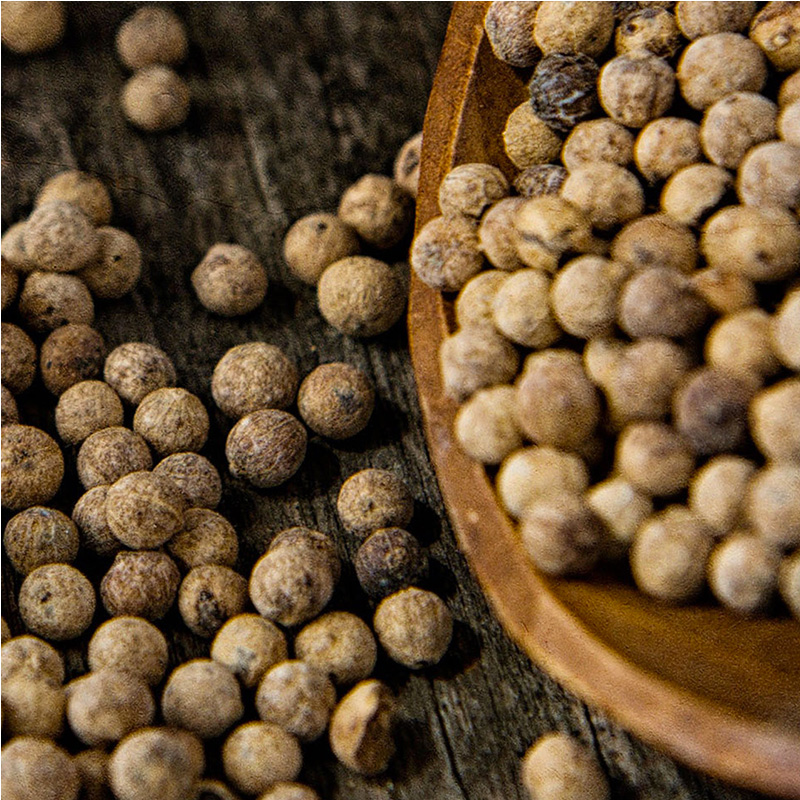 Ellen’s Catering by Arno Van de Vyver