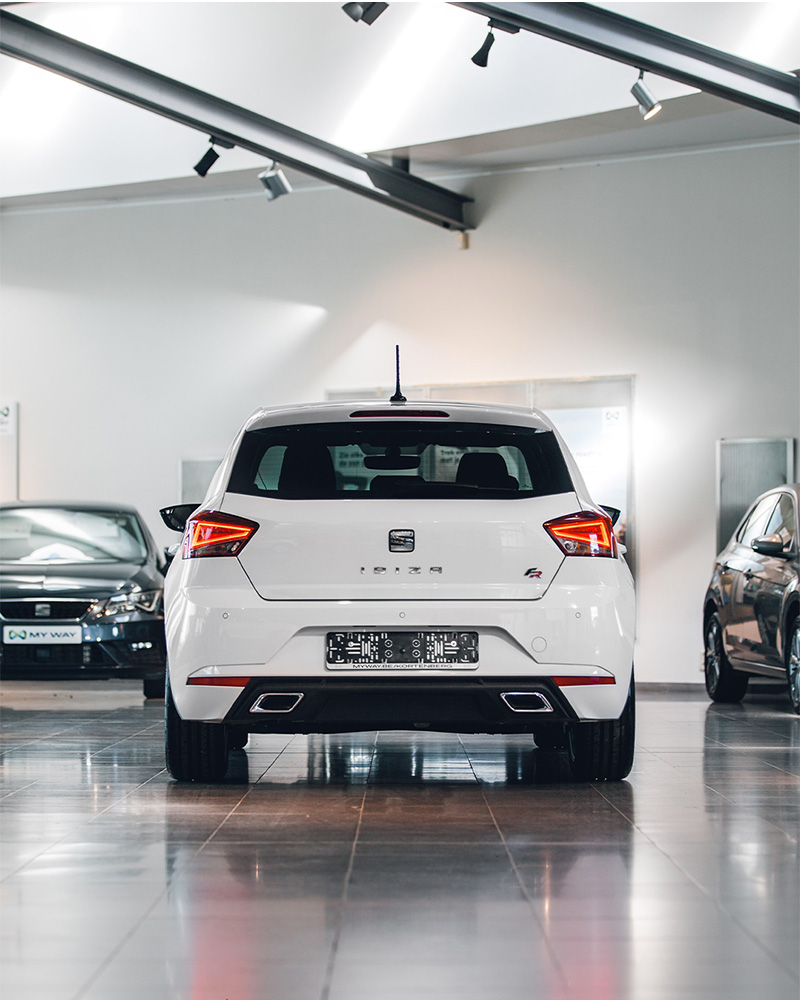 My Way by Arno Van de Vyver